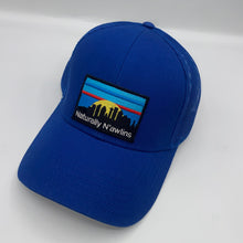 Load image into Gallery viewer, Naturally N’awlins Low Profile Trucker Hat