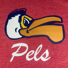 Load image into Gallery viewer, New Orleans Pelicans Kids T-Shirt
