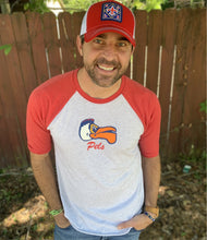 Load image into Gallery viewer, Unisex Pelicans 3/4 Sleeve Raglan Shirt
